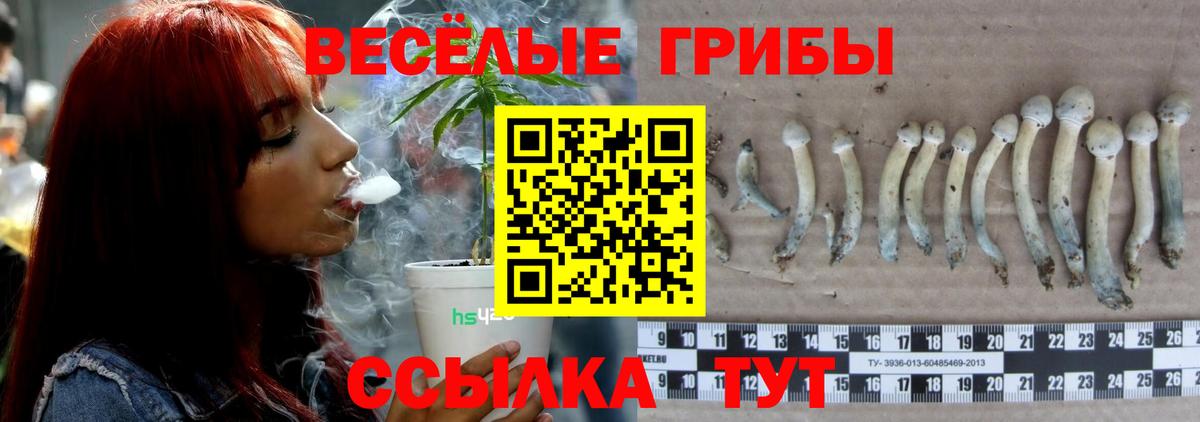 Галлюциногенные грибы Psilocybe  Вход с VPN  Киреевск 